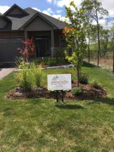 planting trees and landscaping